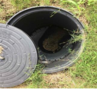 1564200050176571.jpg 1-1ZH6115QW06.jpg